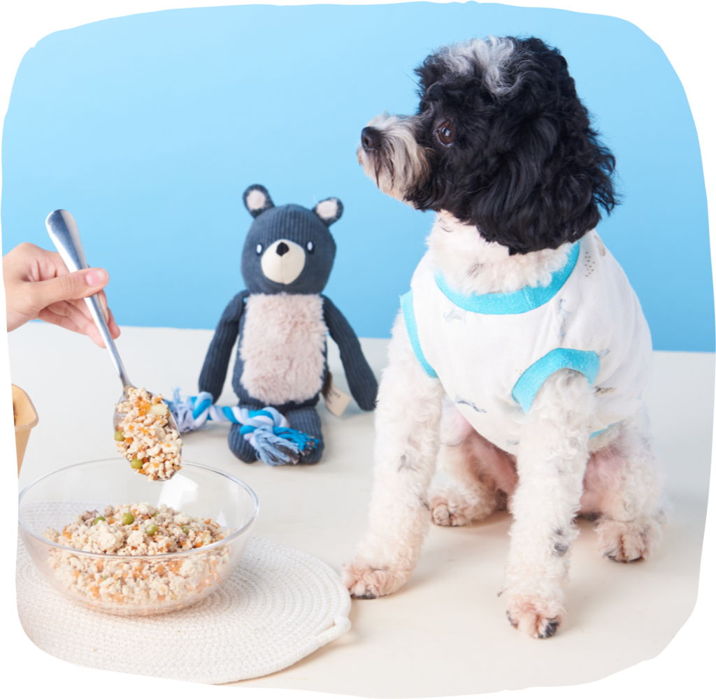 bailey-s-bento-fresh-food-made-for-dogs